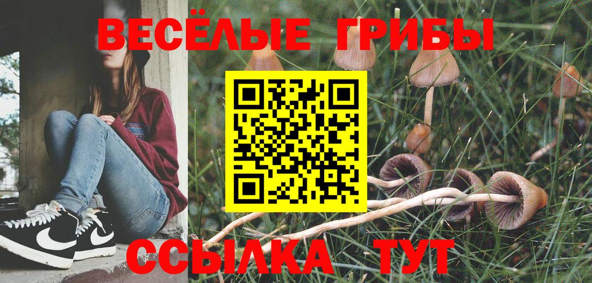 Сертолово  Псилоцибиновые грибы прущие грибы  Вход с VPN 